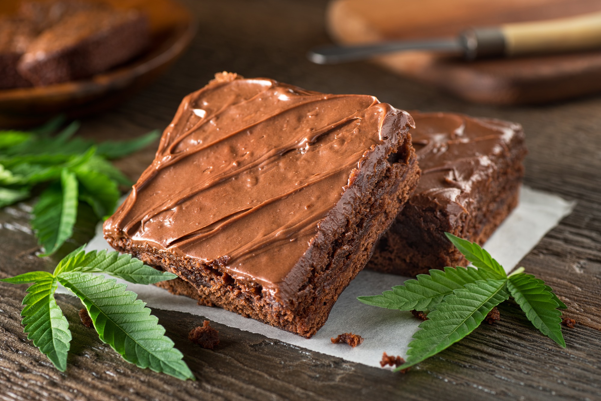 marijuana edibles givingtreedispensary.com