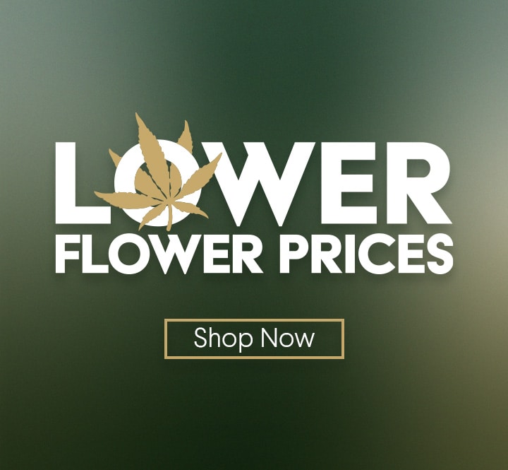 Giving Tree Flower price drop
